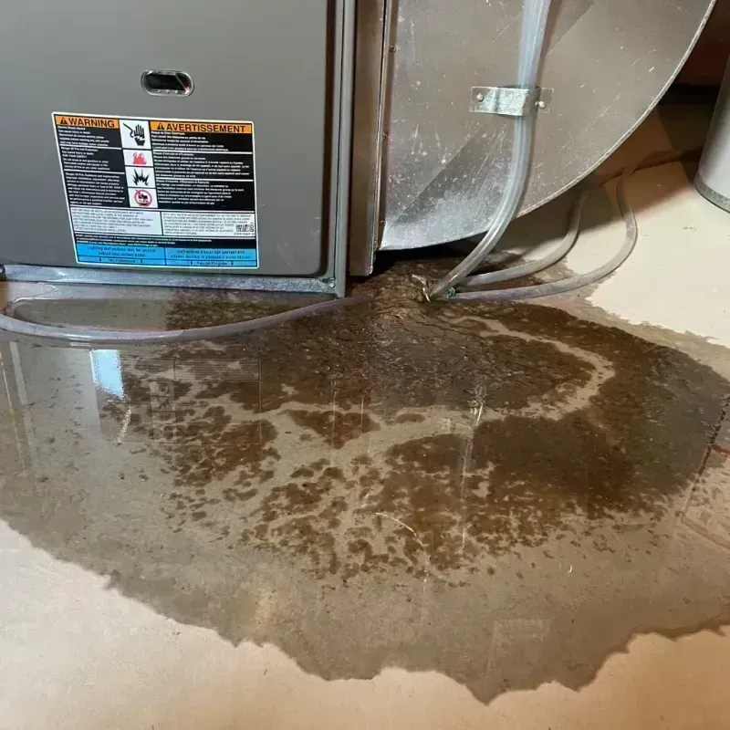 Appliance Leak Cleanup in Albany, GA